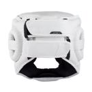 BAD BOY legacy 2 FULL FACE Kaska Pugaxias-white